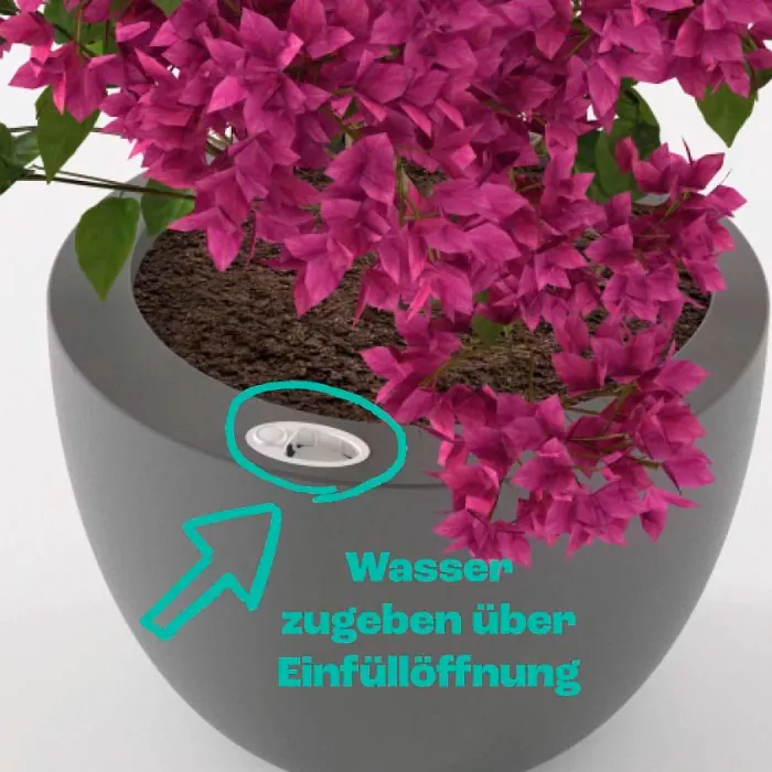 Pflanz- und Pflegeanleitung für heller podd, dem selbstbewässernden Pflanzkübel mit Wasserreservoir - Wasser zugeben