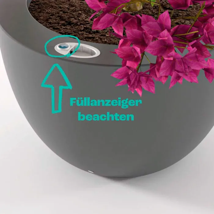 Pflanz- und Pflegeanleitung für heller podd, dem selbstbewässernden Pflanzkübel mit Wasserreservoir - Gießfreiheit genießen