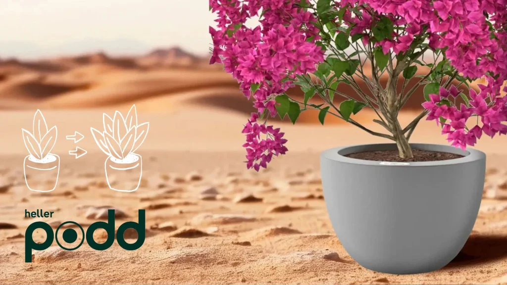 beim heller podd selbstbewässernden Pflanzkübel mit Wasserreservoir nimmt sich die Pflanze das, was sie braucht