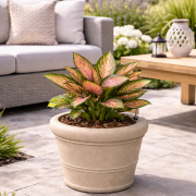 Selbstbewässerndes Pflanzgefäß “podd WEIßERITZ” in der Farbe Camel